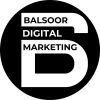 Balsoor Digital Marketing Services Pune logo - Similar company to Burhan Digital