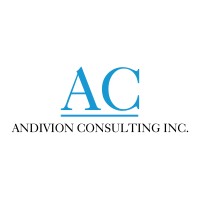 Andivion Consulting Inc.
