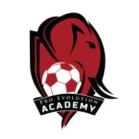 ProEvolution Academy logo - Similar company to Dieppe