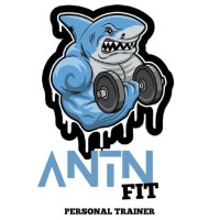 ANTN FITNESS logo - Similar company to The Boston Capital Group