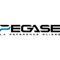 Ecole de pilotage PEGASE logo - Similar company to Protodesign Sarl