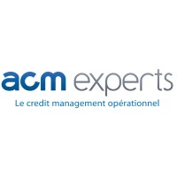 ACM Experts logo - Similar company to Acm Extrusion
