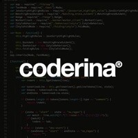 Coderina® logo - Similar company to Wonfliki