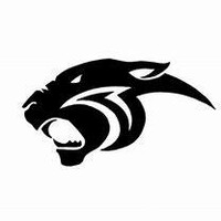 Panther Exteriors and Contracting logo - Similar company to E Ariel Roofing Solutions