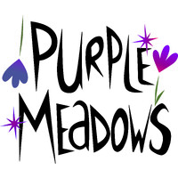 PURPLE MEADOWS STUDIO logo - Similar company to Xeno Bits