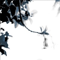 Byster Studios - Design and Fine Art logo - Similar company to J Squared Group