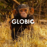 GLOBIO Apes logo - Similar company to Vulture African Safaris