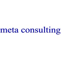 Meta Consulting Ltd. logo - Similar company to Data Wolf, Llc