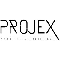 PROJEX Inc. logo - Similar company to Projex