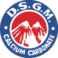 PT. Dwi Selo Girimas logo - Similar company to Pt. Multi Rubindo