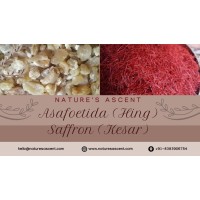 Nature's Ascent logo - Similar company to Aaramgarh