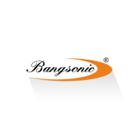 Bangsonic SRL logo - Similar company to Innotransfers