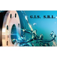 Gi Service logo - Similar company to Gi Services
