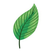 Influetic logo - Similar company to Kinee - Centres De Kinésithérapie