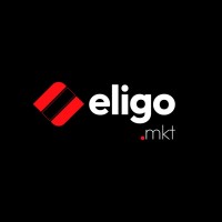 Eligo MKT – Agencia & Assessoria de Marketing logo - Similar company to Connectmax Fibra