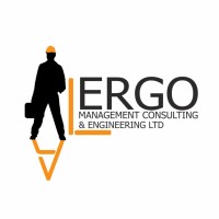 Alergo Management Consulting & Engineering logo - Similar company to Ergo Management Consulting, Inc.