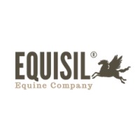 Equisil logo - Similar company to European Sprint Line Bv