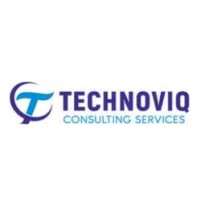 TechnoviQ Consulting Services logo - Similar company to Technoviq