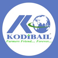 KODIBAIL IMPORT - EXPORT PRIVATE LIMITED logo - Similar company to Foray Network Services Pvt Ltd