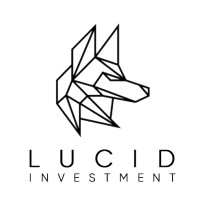 Lucid Investment logo - Similar company to 3Mindset