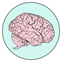 The School of Psychology logo - Similar company to Centre For History & Philosophy Of Science, University Of Leeds