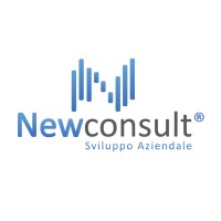 New Consult S.r.l. logo - Similar company to Combo Consulting