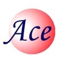 ACE (Singapore) Pte Ltd logo - Similar company to Blaze Prop