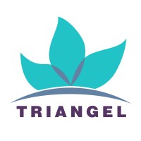 Triangel Official logo - Similar company to Belis Laser