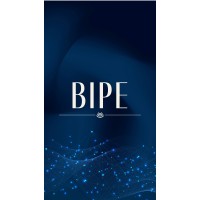 BIPE logo - Similar company to Highteam