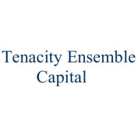 Tenacity Ensemble Capital logo - Similar company to Asymmetric Return Capital