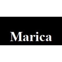Marica, LLC. logo - Similar company to Solve For X