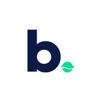 Brand Oceans logo - Similar company to Launching Solution