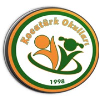 Kocatürk Okulları logo - Similar company to Studio-Dl