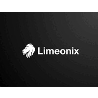 Limeonix logo - Similar company to Limeon