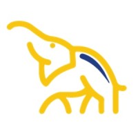 maxi ls logo - Similar company to Plastic Express, Inc.