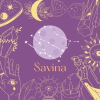 Savina logo - Similar company to Savina Sàrl
