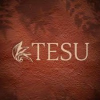 Tesu logo - Similar company to Aangan Stories
