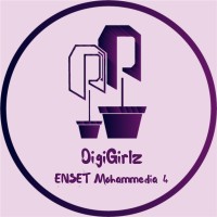 DigiGirlz Enset Mohammedia 4 logo - Similar company to Teach For Morocco
