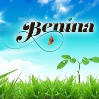 Benina Food logo - Similar company to Mextrade Ltd