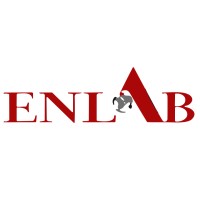 Enlab Laboratuvar Sistemleri logo - Similar company to Labs31