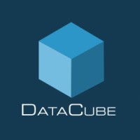 DataCube.com logo - Similar company to Growthwise Solutions