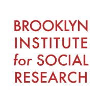 Brooklyn Institute for Social Research logo - Similar company to Nyu Mcsilver Institute