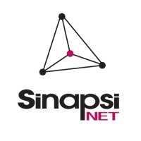 Sinapsi Net logo - Similar company to 4C Srl