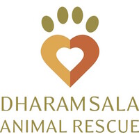 Dharamsala Animal Rescue logo - Similar company to Balance Ai