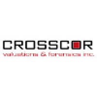 CROSSCOR Valuations & Forensics Inc. logo - Related company intelligence peer for Adcon Business Solutions Inc.