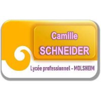 Lycée Camille Schneider Molsheim logo - Similar company to Mb2 Production