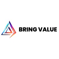 Bring Value logo - Similar company to Methodica Consulting