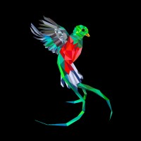 Hype-Birds logo - Similar company to Integirls