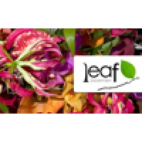 Leaf Bloemen | Capelle Aan Den Ijssel