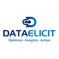 Data Elicit Solutions Pvt. Ltd. logo - Similar company to Inlancer Technologies Llp